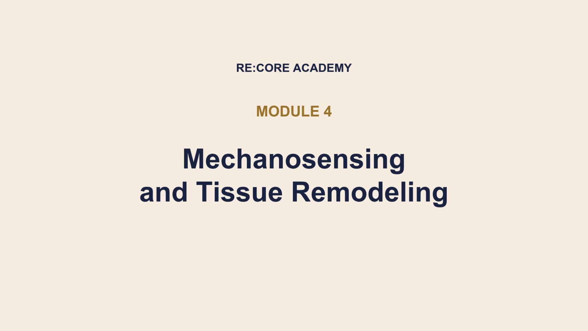 Mechanosensing and tissue remodeling module preview